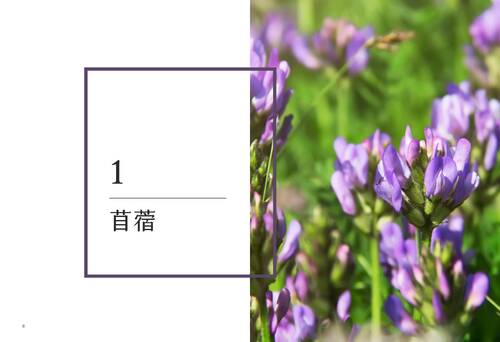 臺南女中第104期校刊-《花坼》
